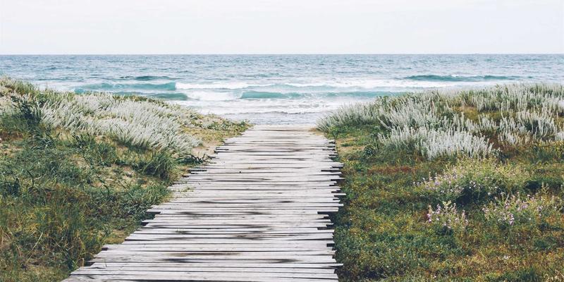 10鲜19：解码新一代水果配送与果蔬电商的健康革命