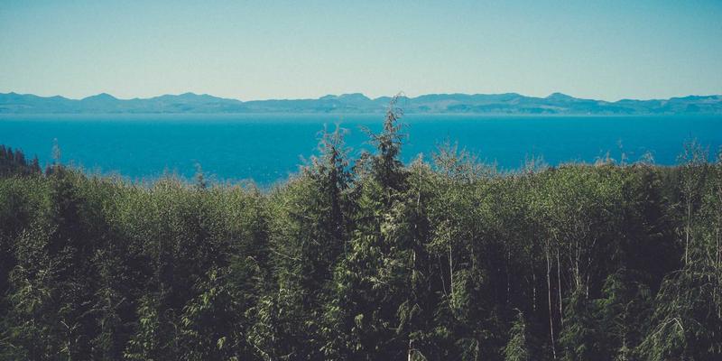 10鲜24：重新定义生鲜电商的时效与鲜度革命