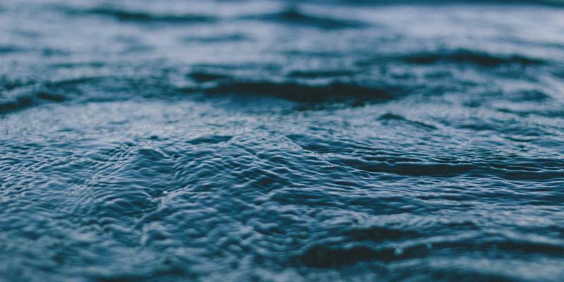 10鲜2：为什么新鲜蔬菜是健康食品与生鲜电商的未来