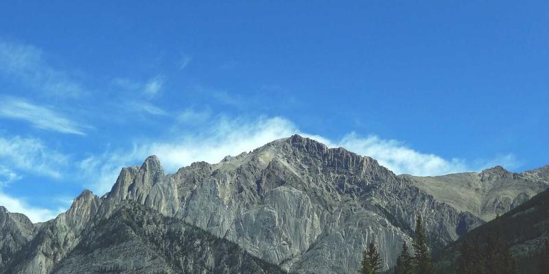 10鲜33：健康生活从新鲜水果配送开始，打造你的饮食新风尚