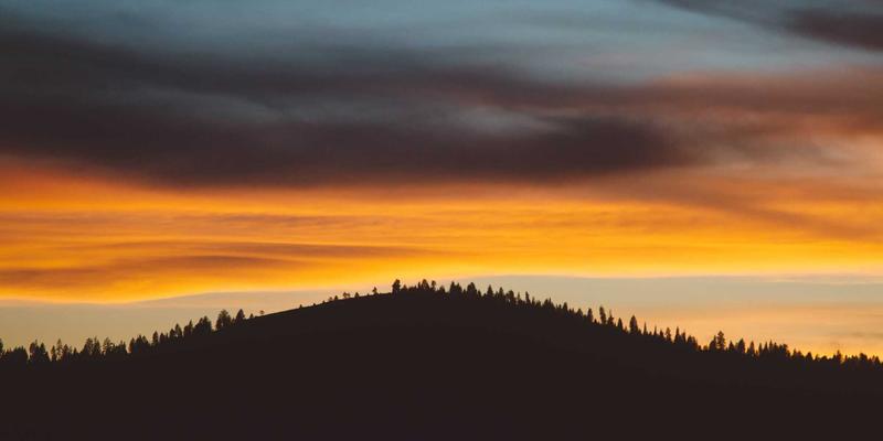 10鲜51：解码生鲜配送新势力，如何重塑食材消费生态