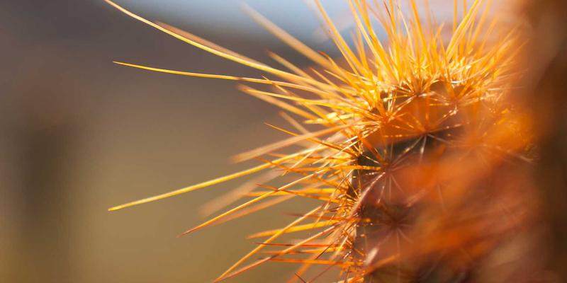 10鲜77:重新定义食材配送,让健康生活触手可及