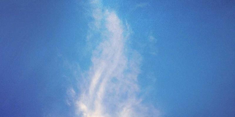 10鲜85：重新定义都市生鲜配送，让新鲜蔬菜水果触手可及