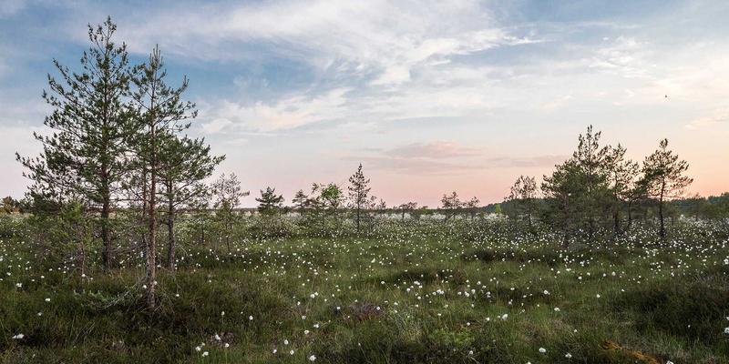 10鲜入门指南:重新定义健康生活与高效生鲜配送