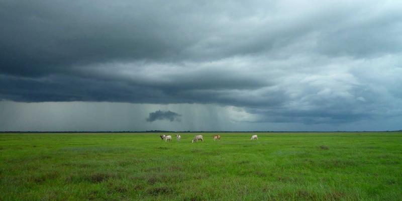10鲜怎么用？从注册到烹饪，一站式健康食材配送指南