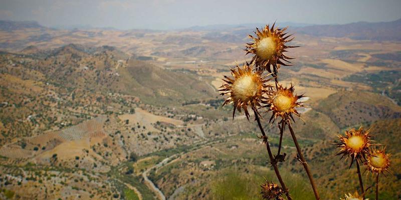 10鲜“轻食简餐”专区：果蔬电商的生鲜配送如何为上班族打造15分钟快手下厨组合
