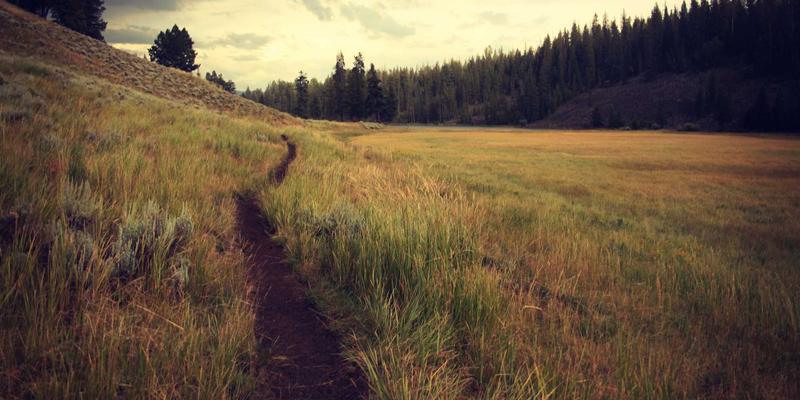 产地直播重塑生鲜配送：10鲜如何用云端监工推动果蔬电商透明化革命