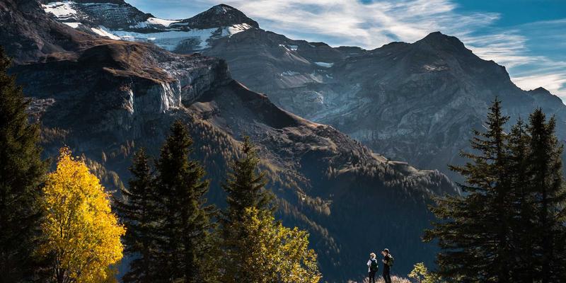 从生鲜配送到阳台种菜：10鲜可溯源种苗包如何升级您的家庭食材配送体验