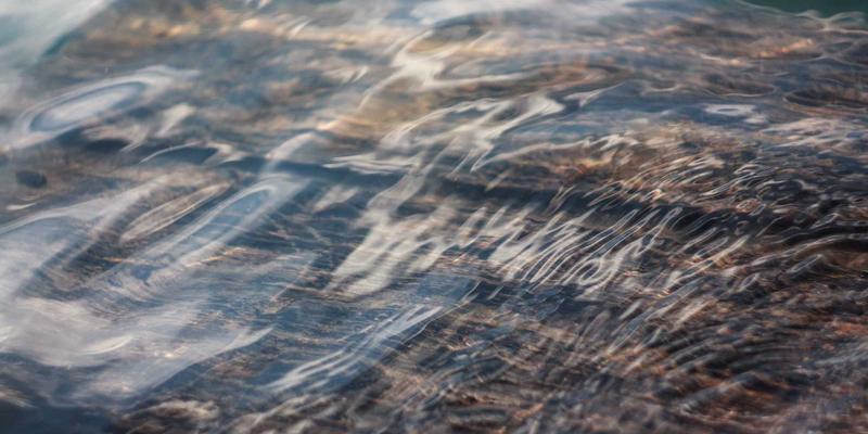 从田间到餐桌的72小时革命：揭秘生鲜电商如何用冷链技术锁住新鲜蔬菜的黄金时刻