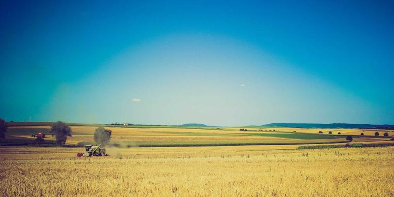 周末厨房焕新：10鲜“主厨灵感”主题食材箱，解锁创意料理新体验