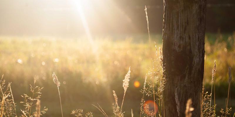 城市应急新方案：10鲜“应急鲜箱”如何保障突发情况下的家庭食材供应