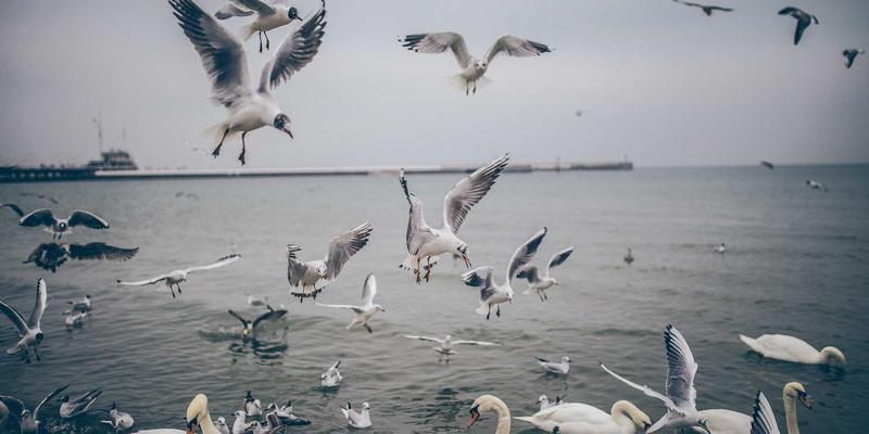 异国风味之旅：10种全球特色生鲜食材采购指南与家庭烹饪方案 | 食材配送与果蔬电商全解析