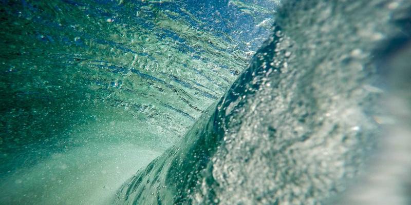 揭秘10鲜“农场直采”模式：为何这10种时令蔬菜能比市场早一周上架？