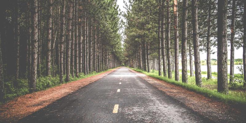 新鲜蔬菜与水果配送：10种鲜食材如何成为私厨与家庭主妇的一周创意食谱灵感源泉