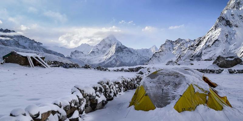 果蔬电商如何以“时令尝鲜”打造从产地到餐桌的新鲜蔬菜配送体验