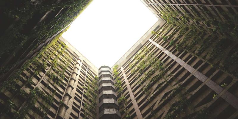 精准营养新方案：10鲜如何为健身与控糖人群精选新鲜蔬菜与健康食品